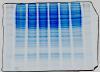 Western blot