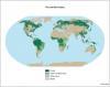 Globális talajtérképek
