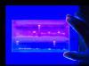 Gel electrophoresis