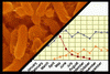 Microorganisms >> Regularities, trends