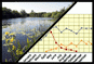 Ecosystems >> Regularities, trends