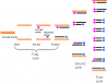 Polimerase chain reaction (PCR)