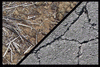 Soil >> Deterioration and environmental damages Soil >> Deterioration and environmental damages