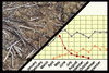 Soil >> Regularities, trends