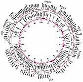 E. coli chromosome map