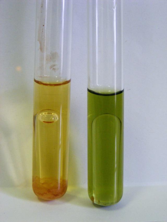 Coliform és termotoleráns coliform baktériumok kimutatása laktózlevesbe oltással