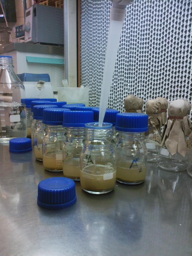 Dilution of the soil suspension