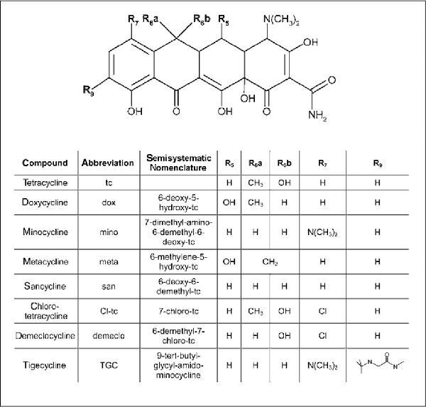 http://www.biotechniques.com/multimedia/archive/00037/BTN_A_04374BM04_O_F0_37020