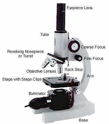 Parts of the microscope