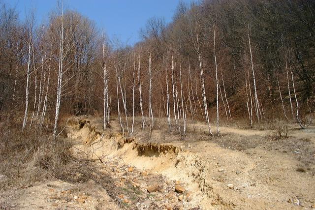 Mining waste along the Toka creek