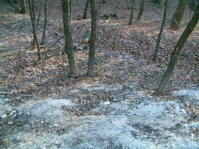 Diffuse pollution from mining around the New Károly adit waste dump in Gyöngyöso