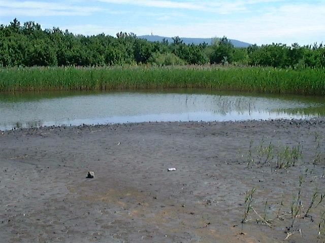 View of the inactive flotation tailings pond in Gyöngyösoroszi, Hungary