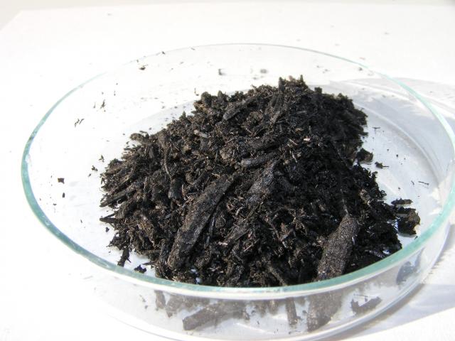 Bioszén elszenesedett növényi anyagból/Biochar from charred plant material