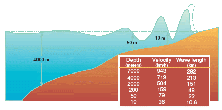 The height of tsunami