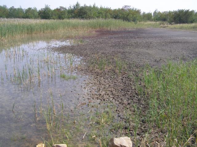 The inactive flotation tailings pond in Gyöngyösoroszi, Hungary