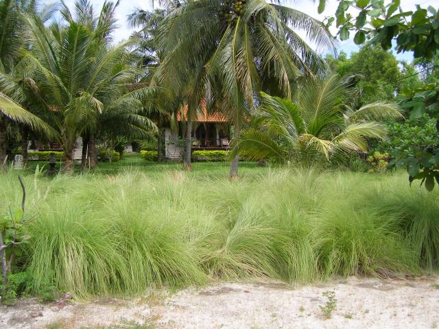 Gili Meno