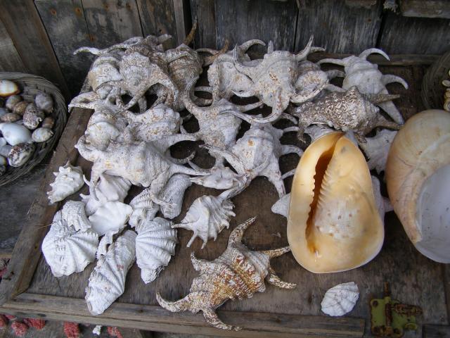 Gili Meno