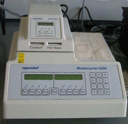 A thermal cycler for PCR