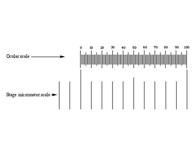 Objective and ocular micrometer