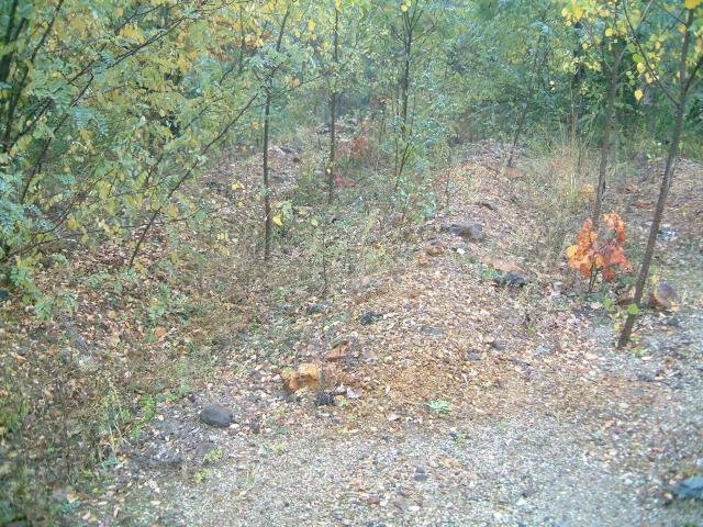 Diffuse pollution along the ore transportation line of the abandoned Gyöngyösoro