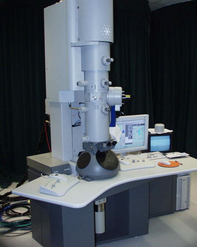 Transmission electron microscopy