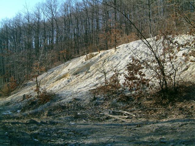 The New Károly adit mine waste dump in Gyöngyösoroszi