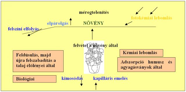 http://weblaboratorium.hu/kornyezetvedelem/korny_termved/8.doc