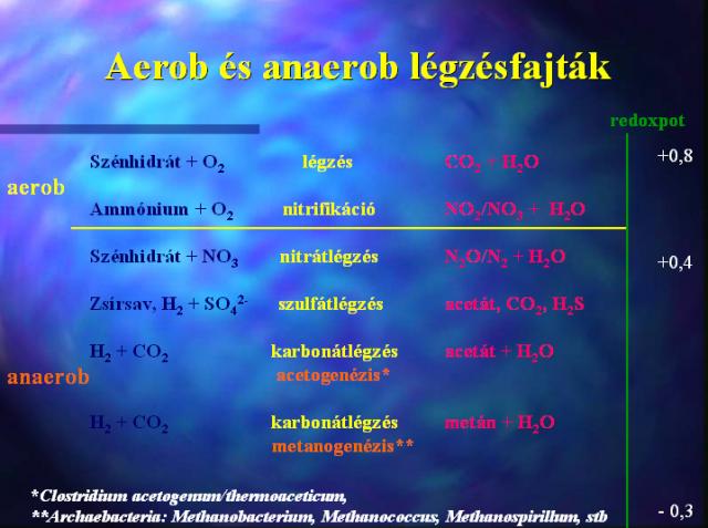 Aerob and anaerob respiration types