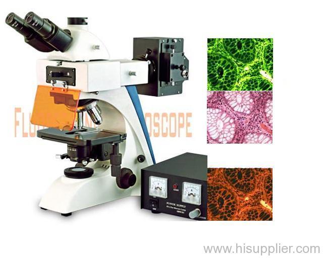 Fluorescence microscope