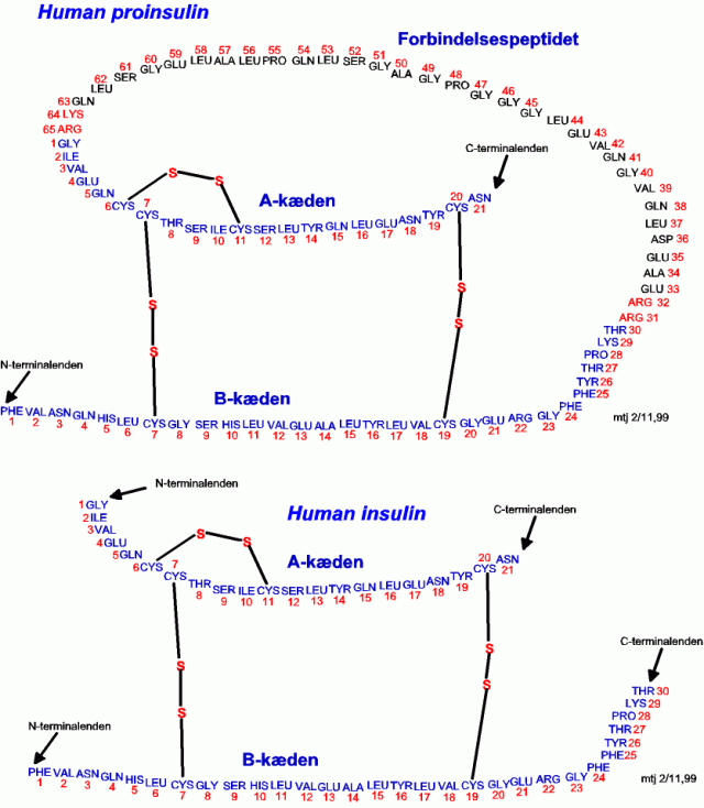 https://www.msu.edu/course/lbs/145/smith/s02/trans_worksheet.html