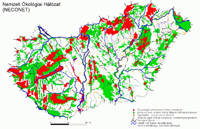 Ökológiai hálózat