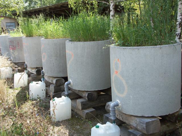 Lysimeters from Toka settlement in September 2008