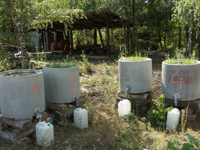 Lysimeters with BB waste in September 2008 
