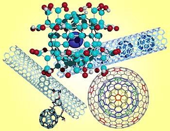 Carbon nanoforms