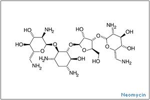 http://www.onlinepharmacycatalog.com/drugs-medications/antibiotics/neomycin/neom