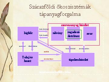 Szárazföldi ökoszisztémák tápanyagforgalma