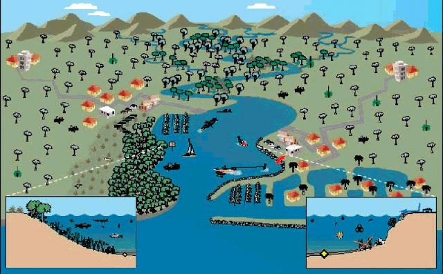 Catchment management