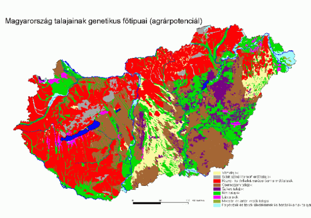 Talajtípusok