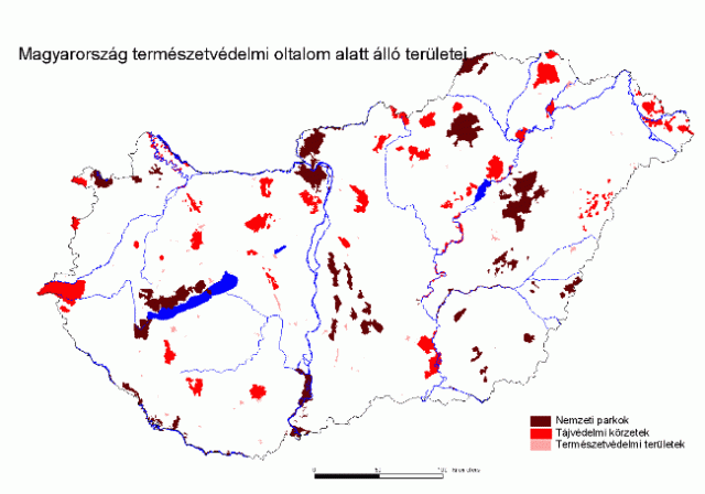 Természeti oltalom