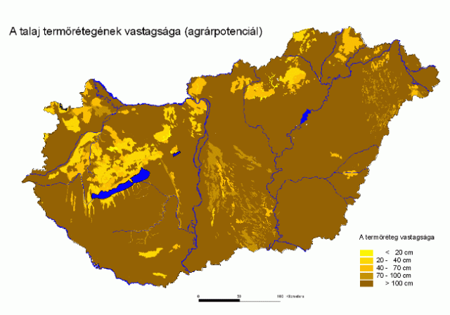 Talaj termőréteg