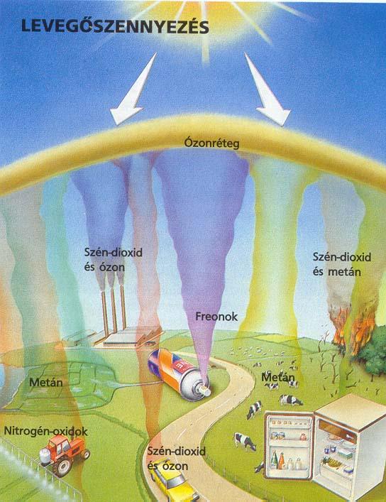zonr-teg-k-rnyezetv-delmi-inform-ci