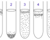 Bacteria in liquid medium