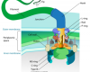 The structure of the bacterial flagellum