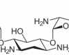 http://upload.wikimedia.org/wikipedia/commons/thumb/e/ec/Gentamicin_C1.svg/539px