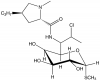 http://upload.wikimedia.org/wikipedia/commons/4/48/Clindamycin.png