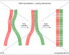 DNA hybridization