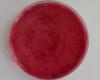 Endo agar