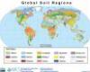 Global soil orders