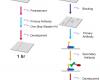 Western blot method