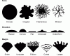 Macromorphological properties of bacterium colonies